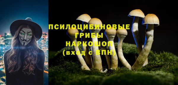 прущие грибы Волосово