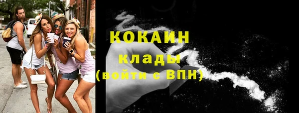 прущие грибы Волосово