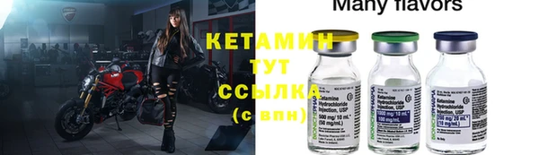 прущие грибы Волосово