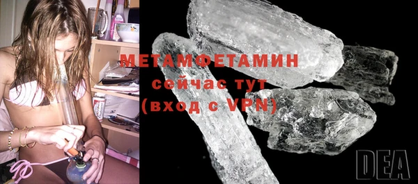 прущие грибы Волосово