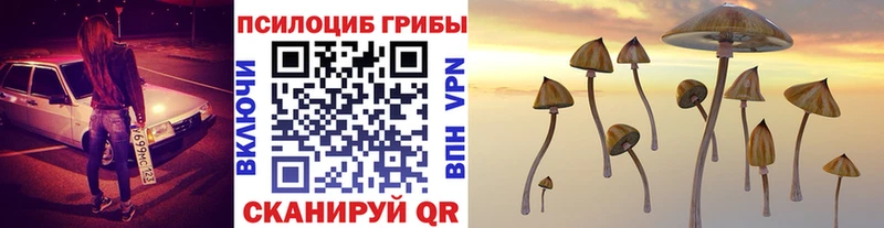 Галлюциногенные грибы Cubensis Вологда